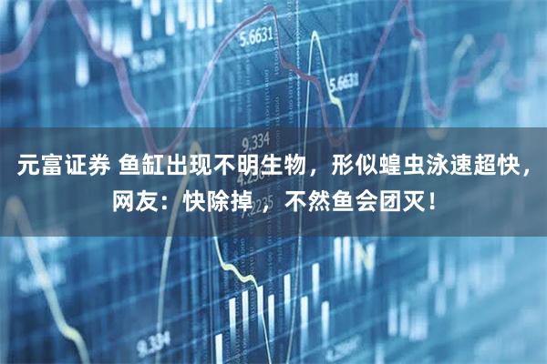 元富证券 鱼缸出现不明生物，形似蝗虫泳速超快，网友：快除掉 ，不然鱼会团灭！