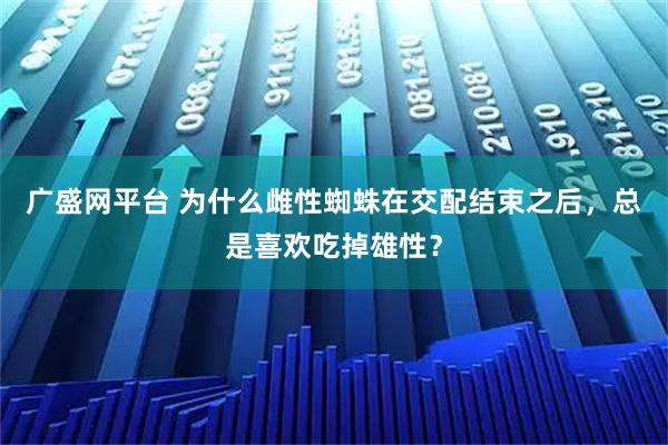 广盛网平台 为什么雌性蜘蛛在交配结束之后，总是喜欢吃掉雄性？