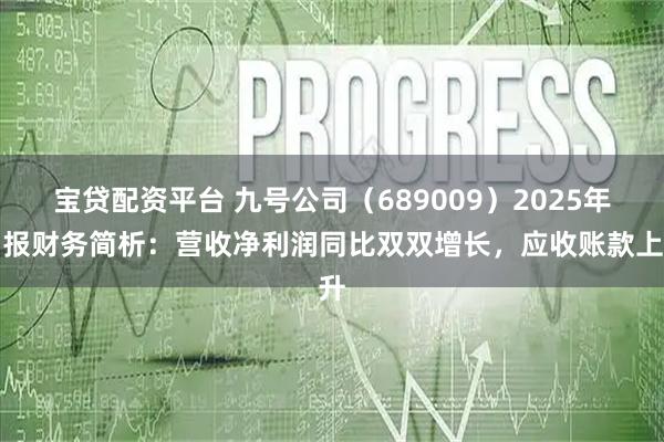 宝贷配资平台 九号公司（689009）2025年中报财务简析：营收净利润同比双双增长，应收账款上升